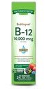Nature's Truth Sublingual Vitamin B-12 10.000 Mcg, Fast Acting Liquid, Natural Berry Flavor, 2 Akış Ounce (kısa 1)
