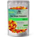 Sea Moss Gummies - Ιρλανδική θάλασσα Μος ωμό Βιολογικός, Bladderwrack, Burdock Root. Περιέχει Sea Moss Gel και σκόνη. Ανοσοποιητική ενίσχυση (1, αρχικό)