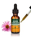 Herbm Pharm, Active Immune System Support için Organik Süper Echinacea Sıvı Türlemeyi Onayladı - 1 Ounce (DSUPER01)