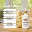 Rainbo - Lion's Mane Mushroom Tincture - Alkol Free - Dual Extract Mushroom Supplement - Beyin Desteği, Focus, Memory, Liquid Lion's Mane Supplement, Vegan, GMO, 3.4 fl oz