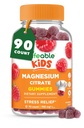Ζωηρό Μαγνήσιο Gummies για τα παιδιά 