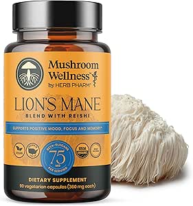 Mushroom Wellness Lion's Mane Mix with Reishi: Organik Lion's Mane & Reishi Mushroom Capsules, Mushroom Toz Supplement, Supports Cognitive Health, Memory, and mental Focus, 90 Vegan Capsules