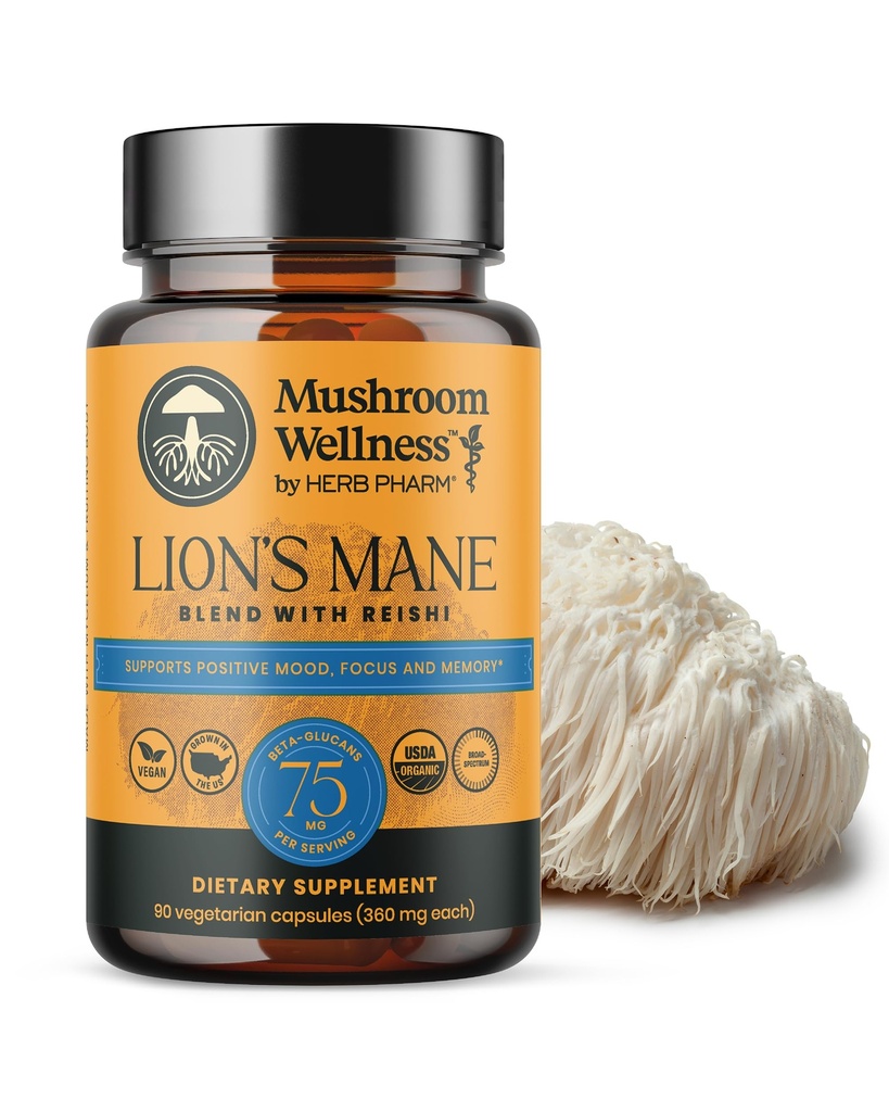 Mushroom Wellness Lion's Mane Mix with Reishi: Organik Lion's Mane & Reishi Mushroom Capsules, Mushroom Toz Supplement, Supports Cognitive Health, Memory, and mental Focus, 90 Vegan Capsules