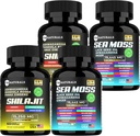 Sea Moss Black Seed Oil Ashwagandha Ginger Capsules, Turmeric ve Ginger Supplement Bladderwrack Burdock Organik Kök,ACV Siyah Tohum Yağı - 240 Deniz Moss Capsules
