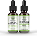 Benevolent Chlorophyll Liquid Drops + İrlandalı Deniz Moss 2oz, 4 Ay İç Deodorizer & Hairt Skin için Eks