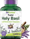 Tnvitamins Holy Basil Capsules (1,600 mg Eşdeğer - 240 Capsules) | 8 Ay Supply | AKA Tulsi | Stres ve Güvenlendirici Yardımı * | Adaptojenik, & Ayurvedic Herb