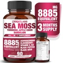 All-in-1 8885mg Highest Potency Sea Moss, Black Seed, Ashwagandha, Turmeric, Apple Cider Vinegar, Dandelion with Elderberry, Vitamin C & D3 - Immune, Energy Support Supplement - 90 Vegan Caps