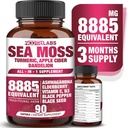 All-in-1 8885mg Highest Potency Sea Moss, Black Seed, Ashwagandha, Turmeric, Apple Cider Vinegar, Dandelion with Elderberry, Vitamin C & D3 - Immune, Energy Support Supplement - 90 Vegan Caps