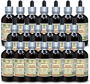 Black Currant (Ribes nigrum) Tincture, Dried Leaves Liquid Extract (Brand Name: HerbalTerra, Proudly Made in USA) 20x4 fl.oz (20x120 ml)