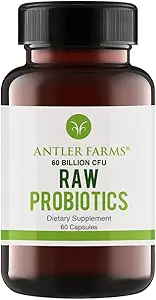 Antler Farms - Digestive Health 60 Milyar CFU, 60 Capsules - Prebiyotiks & Probiyotiks with Digestive Enzymes, 100% Vegan, Non-GMO, Raf-Stable for Women & Men