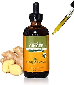 USDA Organic Ginger Root Extract*: Dibestion & Circulatory Υποστήριξη 