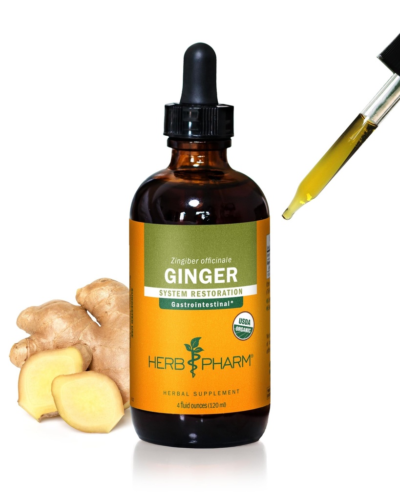 USDA Organik Ginger Root Extract*: Digestion & Circulatory Support | Ginger Tincture for Occasional Nausea | Non-Bitter Vegan Digestive Supplement | 4 Oz, Up to 3 Ay Supply