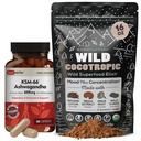 DailyNutra KSM 66 Ashwagandha (90 κάψουλες) και Mushroom Cacao Mix (16oz) Δέσμη για χαλάρωση και εστίαση