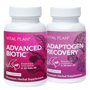 Vital Plan Immune Support Supplements by Dr. Bill Rawls – Immune Boost Sche / Japonca Knotweed, Cat's Claw, Chinese Skullcap & Reishi Mushroom