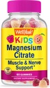 WellYeah Μαγνήσιο Citrate Gummies για τα παιδιά - Chewable Stress Relief συμπλήρωμα για τα παιδιά - φυσική ηρεμία, υποστήριξη Mood, μη-GMO, Χωρίς γλουτένη - Φυσικό άρωμα - 60 Gummies