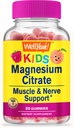 WellYeah Μαγνήσιο Citrate Gummies για τα παιδιά - Chewable Stress Relief συμπλήρωμα για τα παιδιά - φυσική ηρεμία, υποστήριξη Mood, μη-GMO, Χωρίς γλουτένη - Φυσικό άρωμα - 60 Gummies