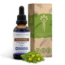 Tribe Chaparral Alkol-Free Liquid Ekstraksiyonun Sırları, Chaparral (Larrea tridentatata) Kuru Yaprak ve Çiçek Tincture Supplement (2 FL OZ)