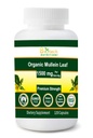 Organic Mullein Leaf 1500 mg Σερβίροντας 120 κάψουλες λαχανικών Κατασκευασμένες στις ΗΠΑ