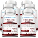 Onaylanmış Bilim Tribulus Terrestris - 360 Capsules - Boosts testosteron, Advanceds Athletic Performance, Supports Kas Büyüme ve Onarım -% 95 Furostanol Saponins - Bioperine - Vegan - 6 Şişeler -
