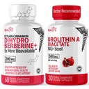 Nature's Fusions Nutri Dihidrberine (60 Capsules) & Urolithin A Diacetate 500 mg Energy Alert Supplement Supplement