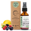 Organik ZINC Boost Mist 40 mg (Extra Strength) - Sugar Free with Vit C and Elderberry Ekstraksiyon - Çocuklar ve Yetişkinler için Vegan Sıvı Kombinasyon - Easy Abors - Non-GMO - (60 ml) 60 Days Supply