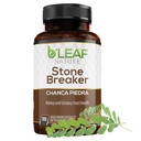 B’Leaf Nature Chanca Piedra Stone Breaker, 100 Capsules, 1000mg – Traditional Herbal Kidney Support – Non-GMO, Vegan, Gluten-Free Urinary Tract & Liver Wellness