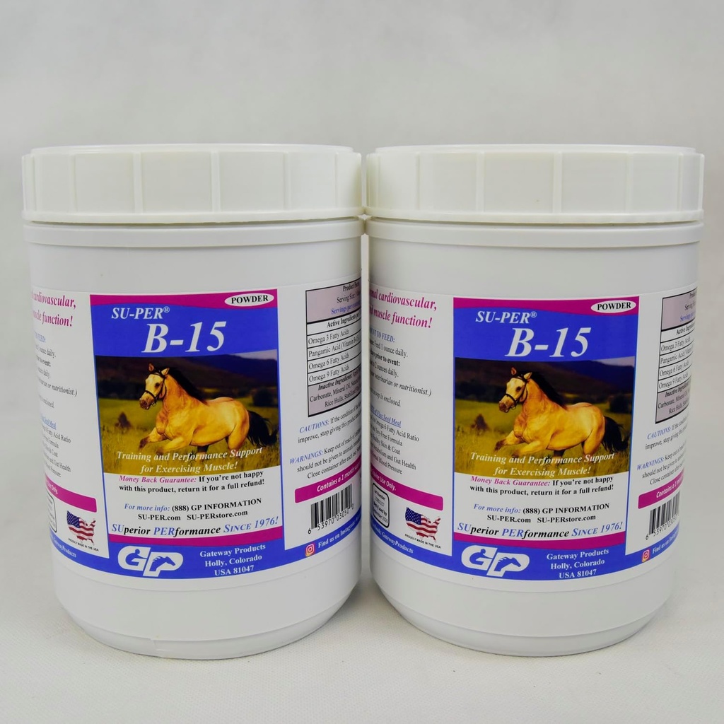 B-15 Vitamini Atlar için Tamamlandı - Performans Desteği için B-15 Toz - 2.5 Pounds, (2 Pack)
