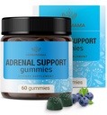 HERBAMAMA Adrenal Support Gummies - Ashwagandha Root, Rhodiola Rosea & Magnezyum - Vegan, Non-GMO - 60 Pectin-Based Blueberry-Flavored Chews