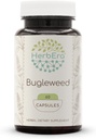HerbEra Bugleweed 60 Capsules, 400 mg, Bugleweed (Lycopus Virginicus) kuru Herb (60 Capsules)
