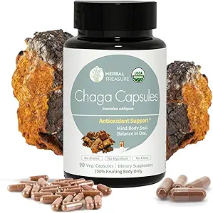 Herbal Hazine Chaga Mushrooms Toz Capsules, Fonksiyonel Mushrooms, Chaga Mushroom Capsules for Energy, & Immune Support, Organik Mushroom Supplement 90 Caps