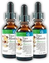 Morter Trace Minerals in Colloidal Suspension (3 Pack) Morter Health System En İyi Süreç Yağı - Nutrient Dense Trace Elements, Fulvic Minerals & Amino Asits