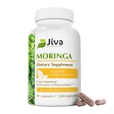 Jiva Botaniks Moringa Leaves Extract Capsules - Moringa Leaf Toz ve Oleifera Supplement for Immune and Normal Ortak Destek - 90 Capsules (Pack of 1)
