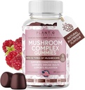 Mushroom Gummies Premium Supplement [10 Mushroom Kompleksi] Delicious & Fast Acting Lion's Mane, Reishi, Shiitake Nootropic Brain Support, Immune Support, Mood & Relaxation, 60 Chews