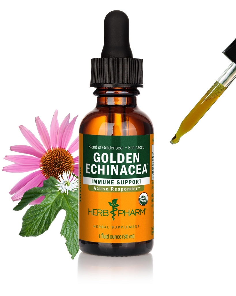 Herbm Phar Immune Sistem Desteği için Organik Altın Echinacea Sıvı Türlemeyi Onayladı - 1 Ounce (DGOLDEN01)