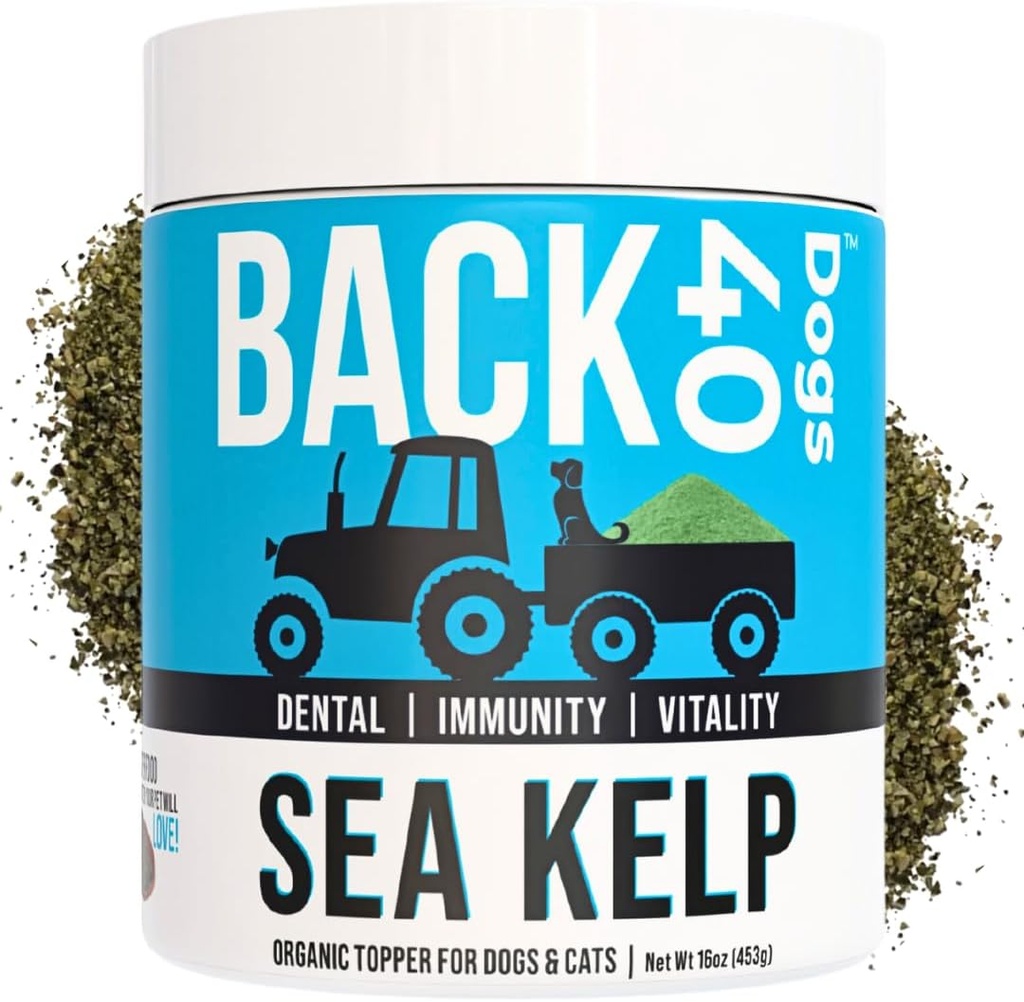 Βιολογική Kelp σκόνη για σκύλους, Αποξηραμένη Kelp θάλασσα συμπλήρωμα για τη λειτουργία του θυρεοειδούς, οδοντιατρική υγεία, ανοσοποιητική υποστήριξη, πέψη, δέρμα & παλτό - Ιώδιο πλούσια - πολυβιταμίνη για γάτες & σκύλους 16oz - Made in USA