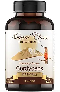 Organik Cordyceps Mushroom Supplement - 120 Capsules