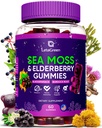 İrlandalı Deniz Moss Gummies – Bladderwrack Burdock Root Elderberry C & çinko – 60 Vegan Seamoss Gummy Bears for Yetişkinler Kids Men Women – Multimineral Yaşlı Vitaminler