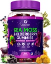 İrlandalı Deniz Moss Gummies – Bladderwrack Burdock Root Elderberry C & çinko – 60 Vegan Seamoss Gummy Bears for Yetişkinler Kids Men Women – Multimineral Yaşlı Vitaminler