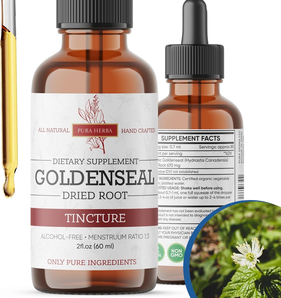 Goldenseal Tincture | Premium Alkol-Free Herbal Extract from Goldenseal Root | Liquid Botanical Supplement | Geleneksel Herbal Formula | ABD'de Yapılacak - 2 oz (60 ml)
