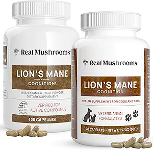 Real Mushrooms Lions Mane for Humans (120ct) and Pets (120ct) - Bundle for Cognition & Immunity - Vegan, Non-GMO, Gluten-free, Grain-Free Mushroom Extract Supplements