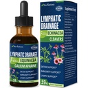 Clevers Lymphatic Drainage Drops for Lymph System Detox Cleanse, Lymphome Supplement Formula w/Echinacea, Claw γάτας, Red Clover Extract Tincture, Χρήση με Lymph Massage Tool. 2oz