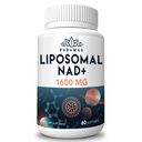 1600 mg Liposomal NAD Supplement, 98 Saf NAD+ Tamam, Üstün Aborpsiyon, Alternatif to Nicotinamid Riboside veya NADH, NAD+'yı Aging Defense, Enerji, Longevity,60 Softgels