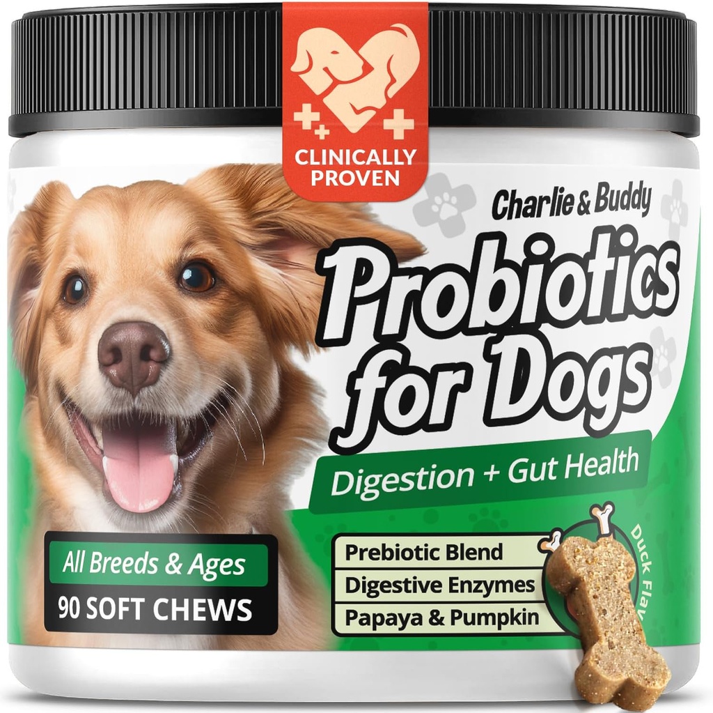 Charlie & Buddy Pet Probiotics για σκύλους Βοήθεια Gut Flora, Probiotics σκύλου για Digestive Υγεία με Digestive Ένζυμα, Κολοκύθα, και Παπάγια για Αναστατωμένο Στομάχι, 90 μαλακά Προβιοτικά Μασουλάκια για σκύλους, Γεύσεις πάπιας