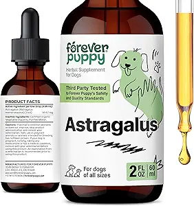 Köpekler için Sonsuz Puppy Astragalus Root Drops - Astragalus Membranaceus Tincture for Dogs' Immune Defense - Herbal Pet Liquid Supplements for Immunity Support & Joyful Pet Care - 2 oz