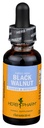 Herb Pharm Black Walnut Liquid Extract Drops for Cleansing and Detoxifying, 1 Oz