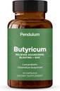 Pendulum GI Tamir | A Probiyotiks Supplement and Men - Arts Butyrate, improves Gut Health, Relieves Occasional GI Discomfort, Bloating, & Diarrhea. Contains Clostridium Butyricum, 30 Count
