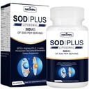 Superoksit Dismutase Supplement 500 mg - SOD Ayrıca Liposomal glutathione, AKG, Green Tea Extract, L-Arginine, Lysine, Resveratrol ve Vitamin E Immune Support, Antioksi 60 Capsules