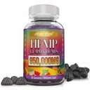 Hempies Neuropathy Nerve Support Supplement Υψηλής Ικανότητας - Φυσικής Υγείας Pure Extra Strength with Hemp Oil Extract Vegan Edibles for Adults Vegan, Low Sugar, Made in USA
