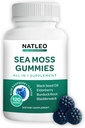 NATLEO USA Sea Moss Gummies with Elderberry, Black Seed Oil & Burdock Root - Vegan, Gluten-free, Non-GMO, 1750mg - Υποστηρίζει Daily Wellness - Made in USA (120 Count)