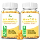 Sea Moss Gummies for Yetişkinler and Kids, 2000 mg Raw Seamoss, Bladderwrack, Burdock Root, Elderberry, Pepper, C & D3, çinko Supports Immune System & Boost Energy (2-Pack)